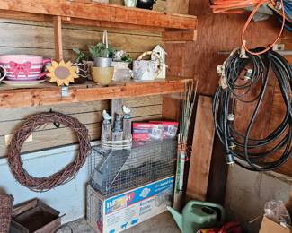 racoon  and mouse live traps