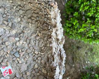 #58	Stone Bird Bath (as is top) - 17x22	 $30.00 			