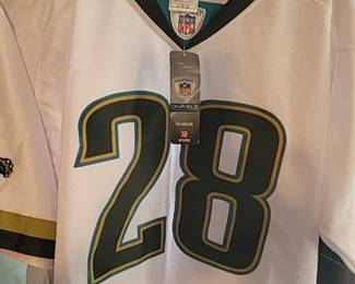 Fred Taylor Jersey NWT