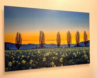 Metal panel art - very vibrant