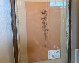 Herbarium