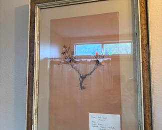 Herbarium