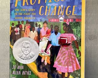 This Promise of Change by Jo Ann Allen Boyce