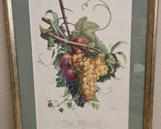 Fruit Print