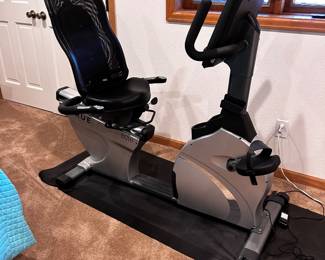 True recumbent bicycle