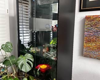 Pair of display cabinets