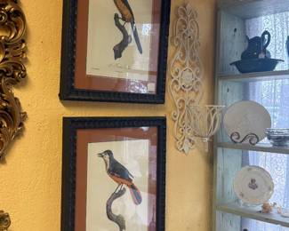 framed and matted bird art