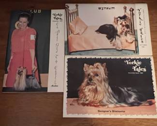 Yorkie Tales Magazine Collection