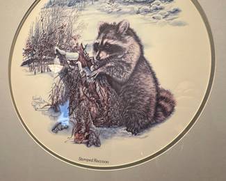 Stamped Raccoon Lithograph Print by Edward J. Gallagher