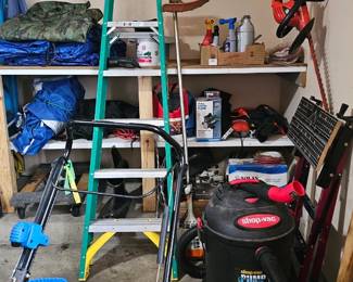 Ladders and garage treasures 