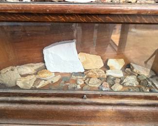 Fossils and Rocks