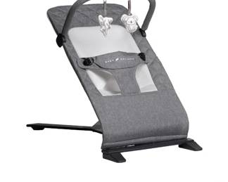 Baby delight alpine bouncer
