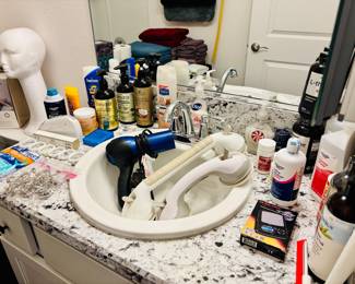 Not sure about storing the electrical appliances in a sink.