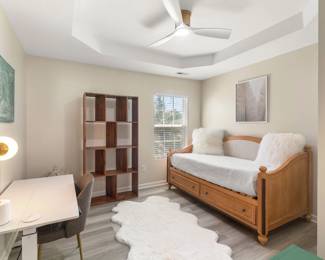 Artwork, book Shelf, Trundle bed