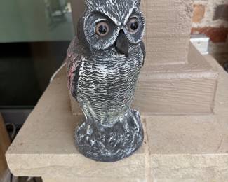 Outside owls