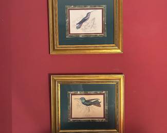 Framed Bird Prints