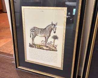 Framed Animal Print