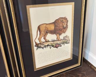 Framed Animal Print