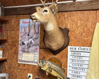 Taxidermy