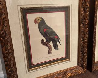 Framed Bird Print