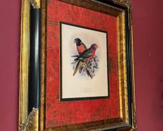 Framed Bird Print