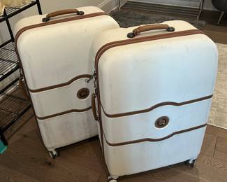 Delsey luggage