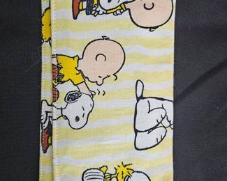 Peanuts Check Book Cover 