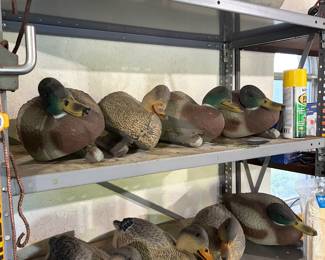 Duck Decoys… Quack…Quack!!!