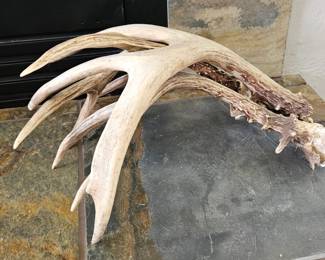 Antlers
