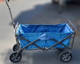 Camping/beach folding wagon tote