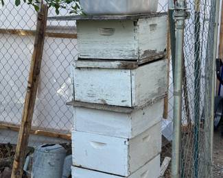 Beehives