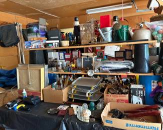 car hop trays, shoe stretchers, household, insulators