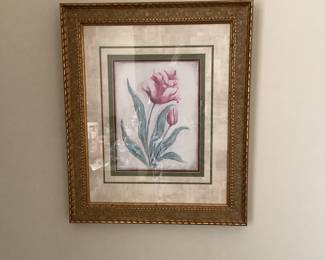 Pink Tulip Picture