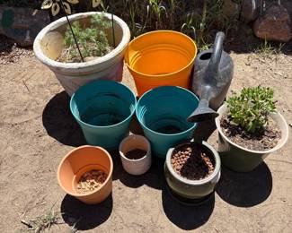 g Assorted Garden Pots and Plants with Watering Can