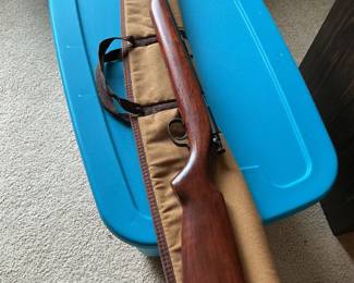 Vintage .22LR