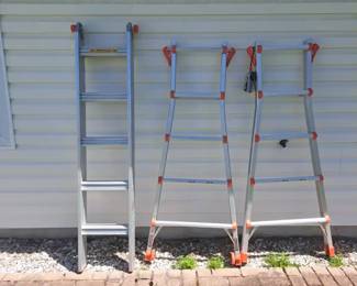 Lot Of Little Giant Ladders