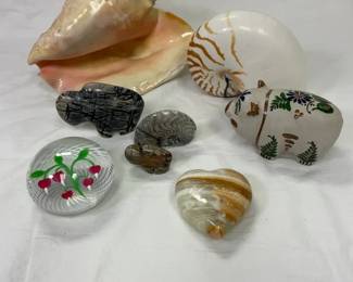 International Collectibles Decor Including Queen Conch Shell