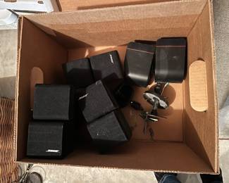 Bose wall speakers