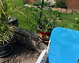 Items Located On The Back Patio
