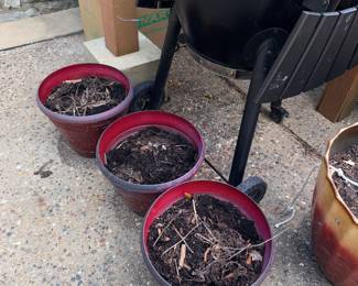 Items Located On The Back Patio