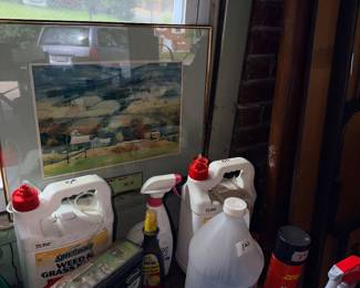 Items Located In The Garage