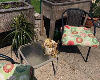 Items Located On The Back Patio