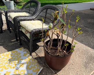 Items Located On The Back Patio