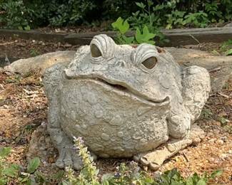 Toad Hollow  Toad Planter