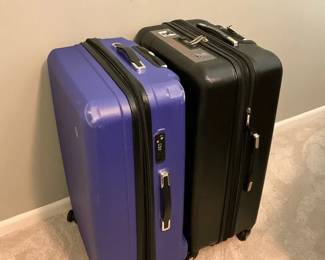 Skyway  Mia Toro Luggage