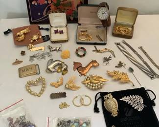 Jewelry Brooches  Visitron Watch