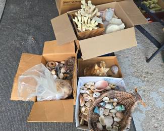 Sea Shells from Sanibel Island 1970s 