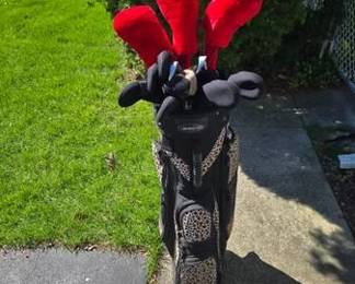 Womens Left handed complete Golf set Like new 