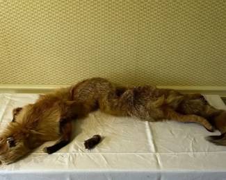 Real Fur Fox Pelt Shoulder Wrap