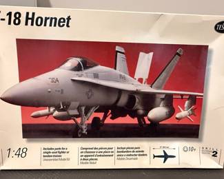 Testors F/A-18 Hornet 1:48 Scale Model Kit